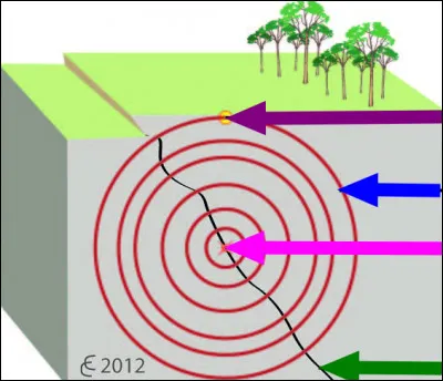Et la flèche verte ? Que pointe-t-elle ?