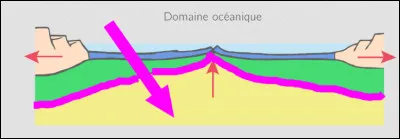 Nous allons maintenant nous intéresser aux dorsales océaniques. Comment s'appelle l'espace désigné par la flèche rose sur l'image ci-dessus ?