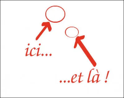 2011 > L'analyse de chondrites révèle des traces de 2 des 4 bases constitutives de l'ADN : ceci renforce les observations selon lesquelles certaines météorites contiennent... (Complétez !)