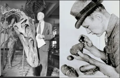 Afin de rendre ses dinosaures crédibles, Walt Disney invita 2 célèbres paléontologues dans ses studios afin d'aider ses équipes d'animation. Il s'agit de...