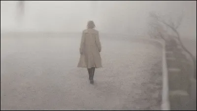 Dans quelle adaptation de jeu vidéo a joué Sean Bean, alias Boromir dans "Le Seigneur des anneaux" ?