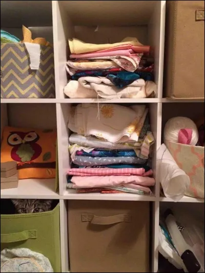 Pensez-vous que le chat se trouve sur cette photo ?