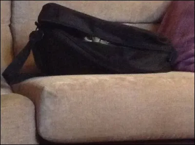 Quelle est la couleur du matou ?