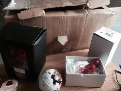 Que voit-on du chat ?