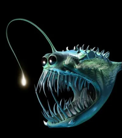 Finalement, l'être humain n'a inventé ni la canne à pêche ni le leurre !