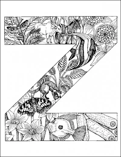 Z : "zigomatique" est un mot bien étrange. Que désigne-t-il ?