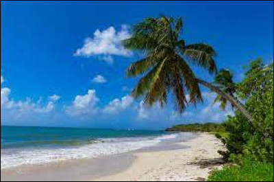 Quand tu es &agrave; la plage, tu pr&eacute;f&egrave;res :