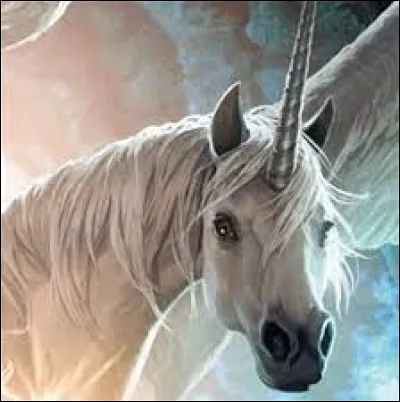 Je suis déjà monté sur une Alicorne :