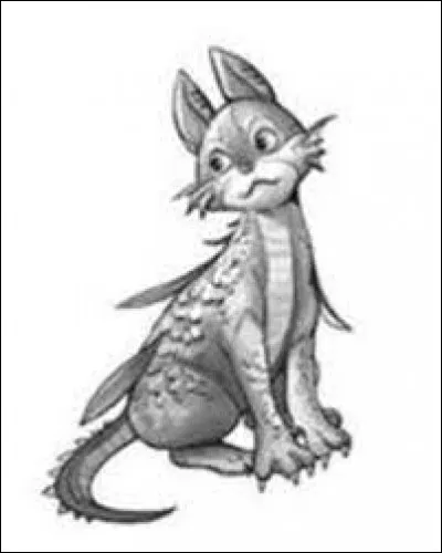 Je veux adopter un animal de compagnie :