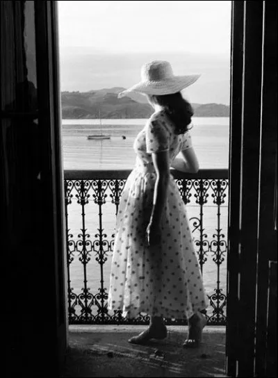 À qui doit-on la photographie "Vue de Collioure" ?