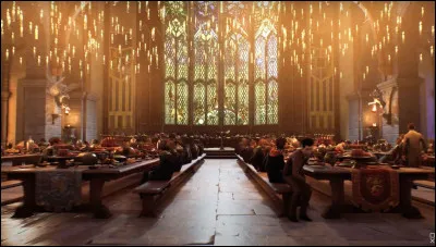 Une maison de Poudlard n'est pas mentionnée dans les films. Laquelle ?