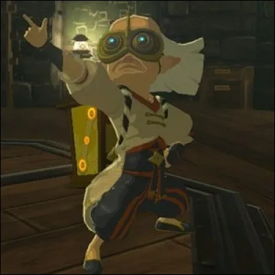 Au laboratoire antique d'Akkala, Faras nous demande de prouver que nous sommes bien Link, que faut-il faire ?