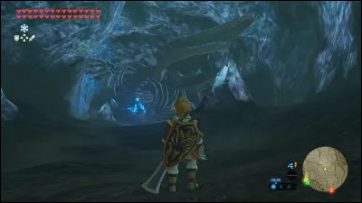 Dans quelles régions se situent les grands fossiles de baleine ?