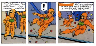 Quel mot juste a trouvé Milou ?