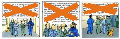 Tournesol est beaucoup trop bavard ! Que veut-il faire, exactement et en raccourci ?