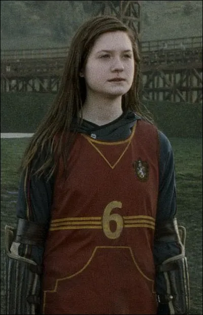 Jouerais-tu au quidditch ?