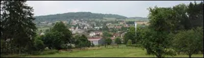 Village du Grand-Est, entre Neufchâteau et Bulgnéville, Landaville se situe dans le département ...