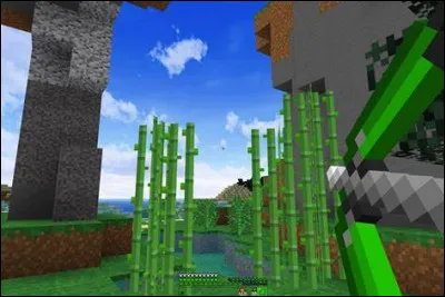 Et maintenant celui-ci : quel jeu est-ce ?