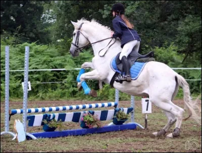 Quelle est cette discipline ?