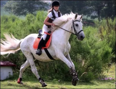 Quelle est cette discipline ?