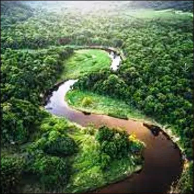 Quel oiseau d�Amazonie se reconna&icirc;t &agrave; son bec surdimensionn&eacute; et color&eacute; ?