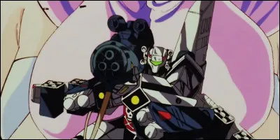 Qu'abrite la Macross ?