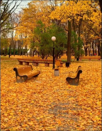 Jettes-tu souvent des choses par terre ?