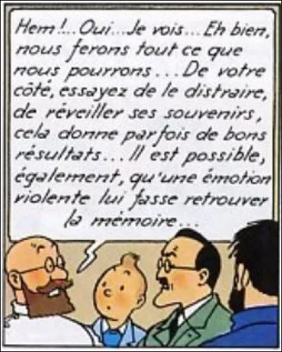 Quel mot prononcé par le capitaine Haddock permettra au professeur de retrouver la mémoire ?