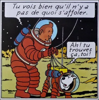 Comment Wolff va-t-il décéder à l'issue de l'album ?