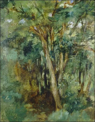 Reconnaissez-vous lartiste qui a peint cet arbre ? Celui-ci est totalement différent du précédent !