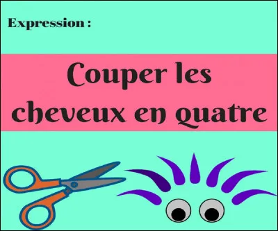 Que signifie la locution verbale ''couper les cheveux en quatre'' ?