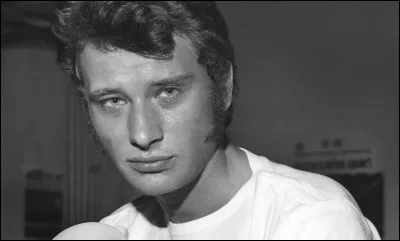 ''Cheveux longs et idées courtes'' est une chanson emblématique de Johnny Hallyday. C'est une riposte envers quel chanteur de l'époque ?