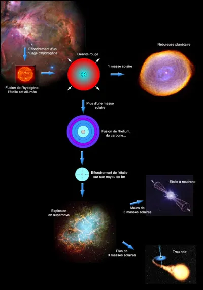 Ainsi, les plus vieilles étoiles observées ont de 12 à 14 milliards d'années, ce qui est [...combien de fois ?] moindre que la longévité des étoiles de masse plus réduite !