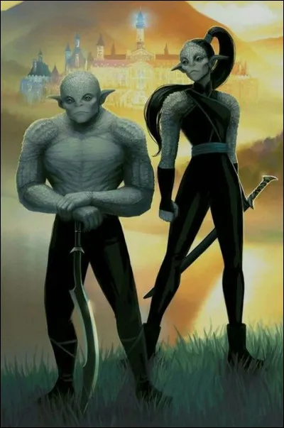 Ce sont des gardes du corps...