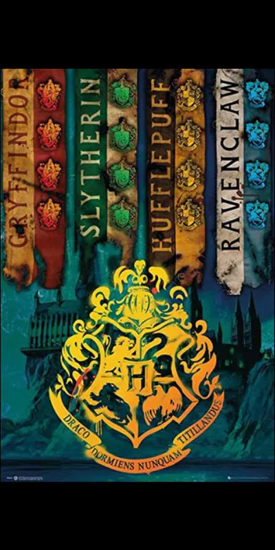 Quel sort préfères-tu ?