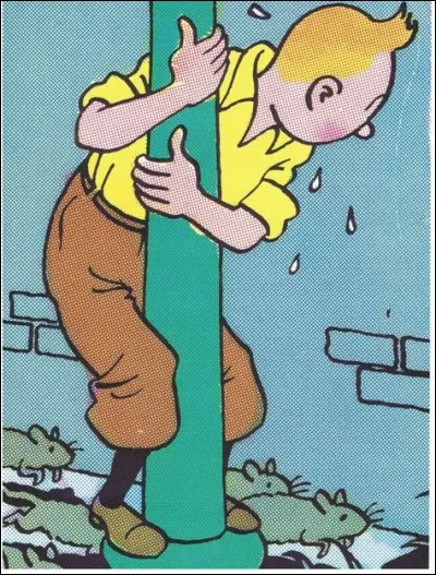 Quel être vivant sera le premier à croître au contact de Tintin et Milou ?