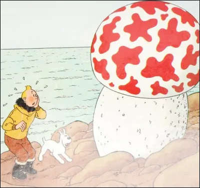 Dans quel océan un bout de cet objet spatial tombe-t-il ?