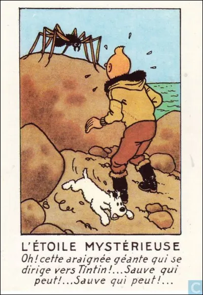 Quel petit animal apparaissait sur le télescope par lequel Tintin regardait ?