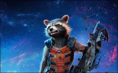 A quoi sert l'oxydant des fusées à combustible liquide ?