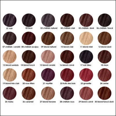 De quelle couleur sont tes cheveux ?