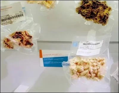 Qu'ajoutent les astronautes à leurs plats avant de les déguster ?