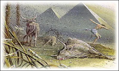 Combien de plaies Dieu a-t-il infligées à l'Égypte ?