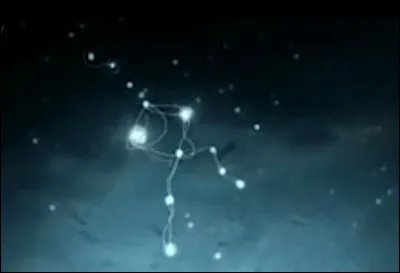 Sans un tout autre genre, nous devons le très original "Desired Constellation" à ... (Quel(e) artiste ?)