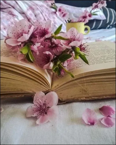 Parmi ces trois uvres littéraires, quelle est la moins longue ?