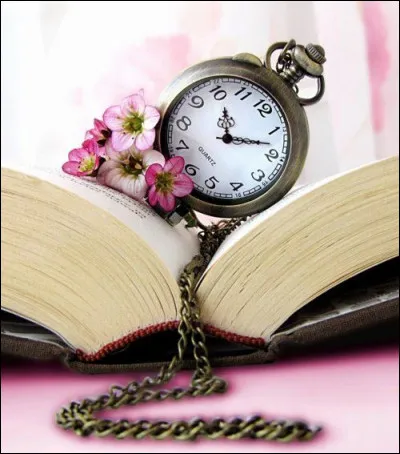 Quel est le plus long roman français ?