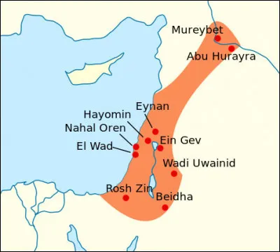 C'est dès la culture du [...], lors des premières tentatives de sédentarisation au Proche-Orient, que l'on retrouve des gravures désignant Véga comme tel.