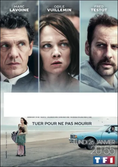 À quel film appartient cette affiche ?