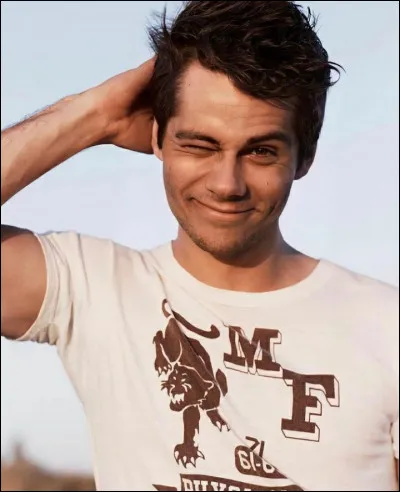 Que pr&eacute;f&eacute;rez-vous manger entre ces pats ?