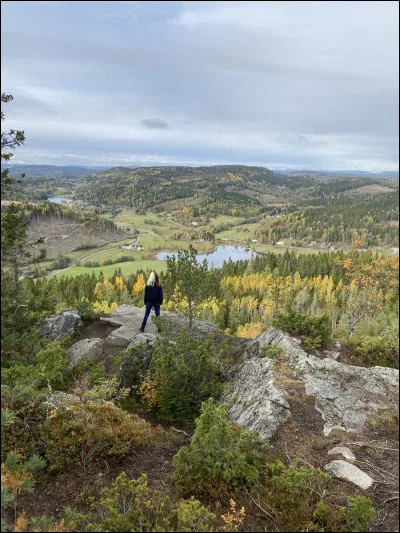 Quel est sont jeux vidéo préféré de tout les temps ?