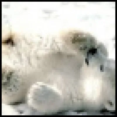 Le trouves-tu très moche ?